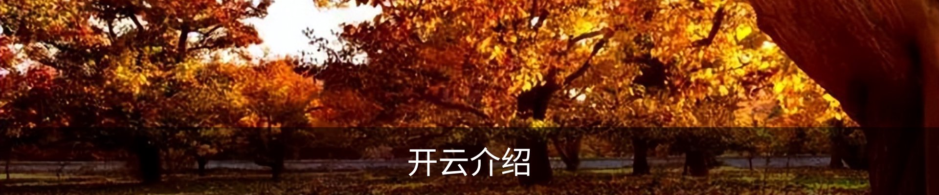 开云介绍